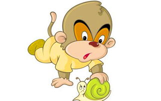 1980年属猴男43岁财运怎么样